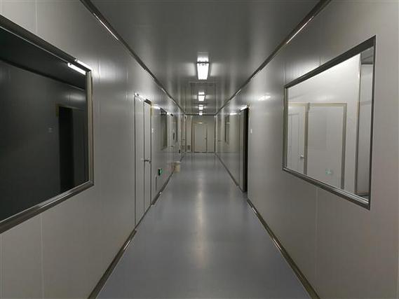 医药GMP净化车间空气净化系统：HEPA过滤与层流技术的协同应用