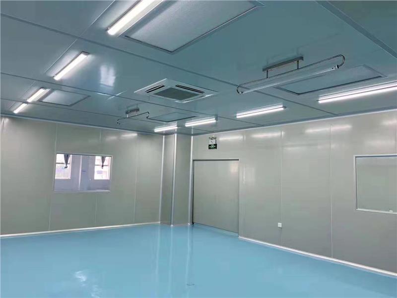 食用菌净化车间VS传统栽培：洁净生产带来的品质飞跃